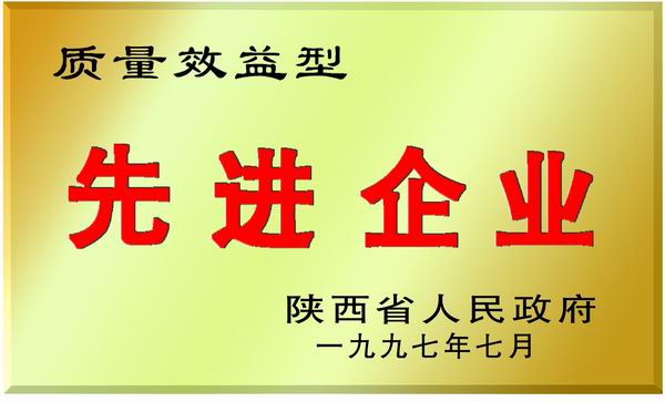 先進(jìn)企業(yè)